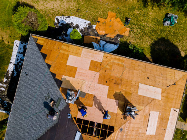 Best Metal Roofing Contractor  in Chester Gap, VA