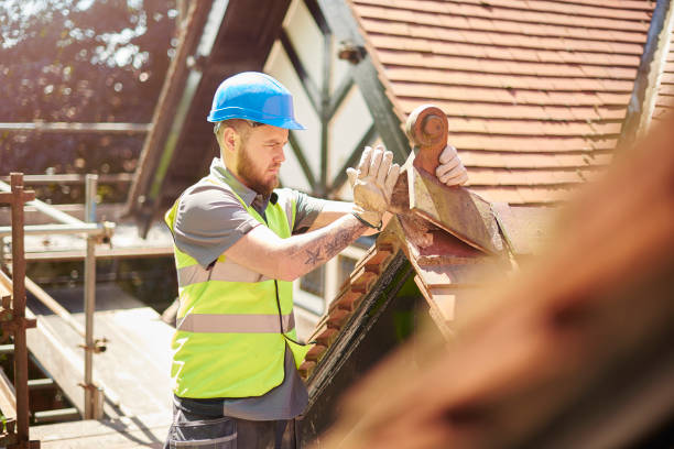 Best Roof Maintenance Services  in Chester Gap, VA