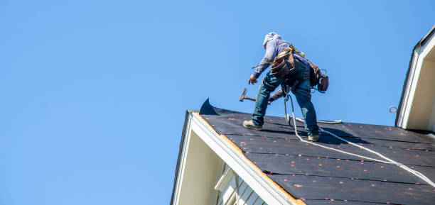 Best Roof Gutter Cleaning  in Chester Gap, VA